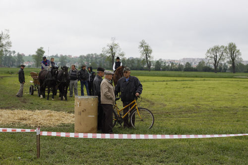 Nie wystraszyli się wiatru i zimna - galeria