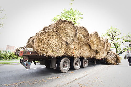 Słomiane baloty zakorkowały miasto - zdjęcia