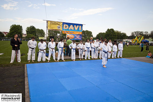 Bawili się na stadionie - galeria