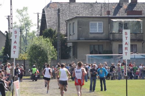 Rekordowy Bieg Bojanowskiego - galeria