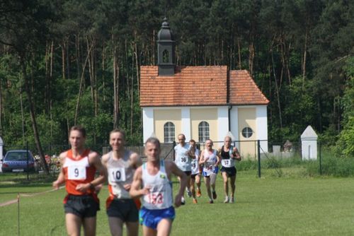 Rekordowy Bieg Bojanowskiego - galeria