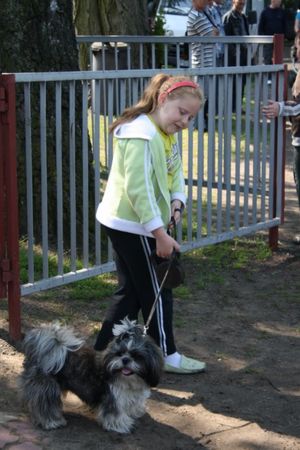 Rekordowy Bieg Bojanowskiego - galeria