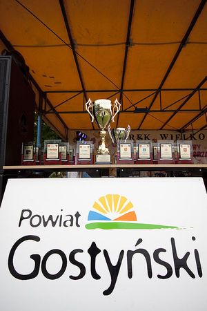 Media pokonały samorządowców - galeria