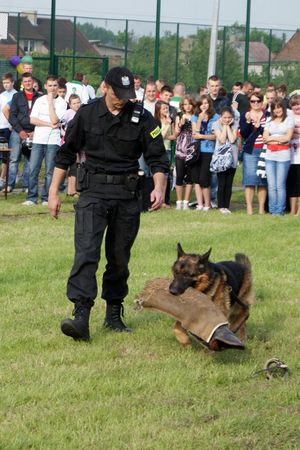 ZSOiZ w Pogorzeli - 15 lat minęło - galeria
