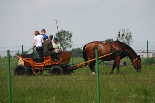 Z myślą o dzieciach -  galeria