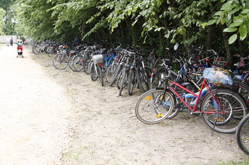 Rodzinny piknik w Cichowie - galeria