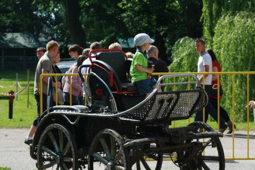 Drugi dzień jeździeckich popisów - zdjęcia