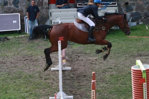 Drugi dzień jeździeckich popisów - zdjęcia