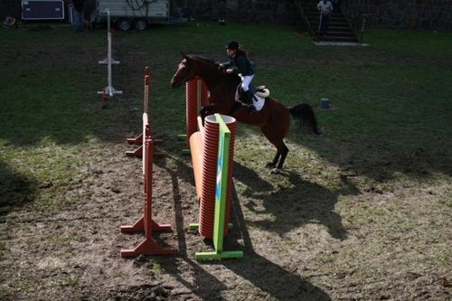 Drugi dzień jeździeckich popisów - zdjęcia
