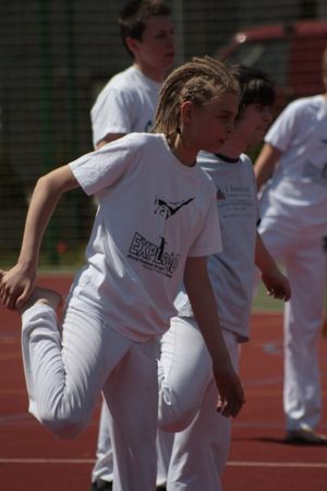 Efektowna Capoeira - galeria