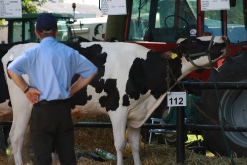 Najlepsze sztuki w Pudliszkach - zdjęcia