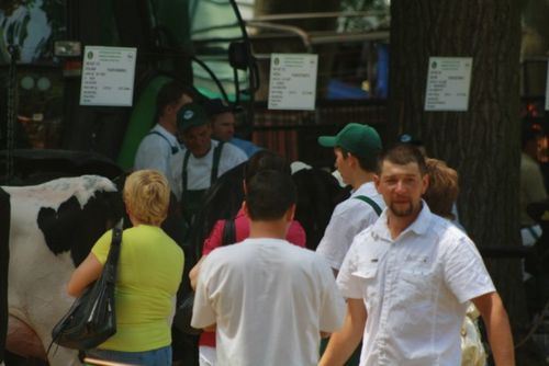 Najlepsze sztuki w Pudliszkach - zdjęcia