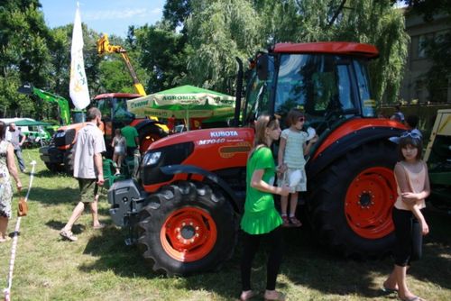 Najlepsze sztuki w Pudliszkach - zdjęcia