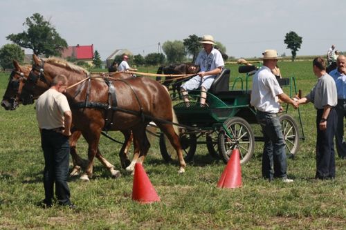 Dzień Konia w Głuchowie  - galeria