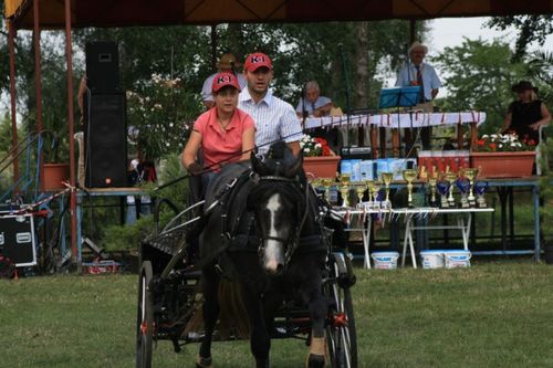 Dzień Konia w Głuchowie  - galeria