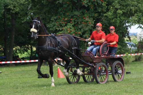 Dzień Konia w Głuchowie  - galeria