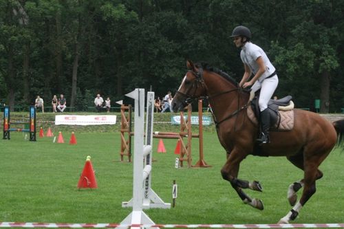 Chwałkowo, trzy w jednym - galeria