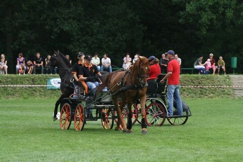 Chwałkowo, trzy w jednym - galeria