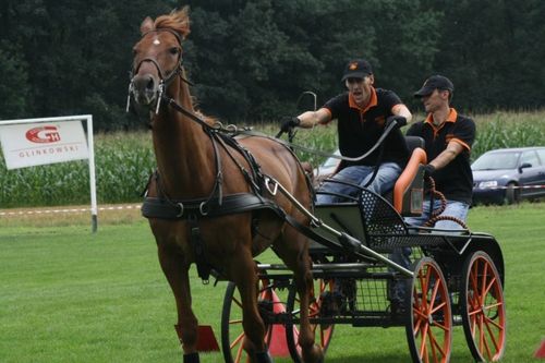 Chwałkowo, trzy w jednym - galeria