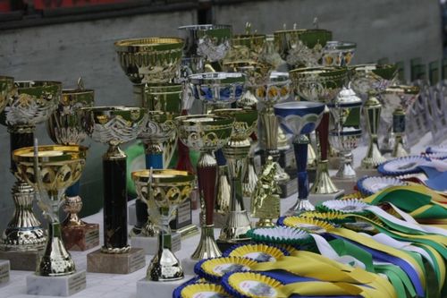 Chwałkowo, trzy w jednym - galeria