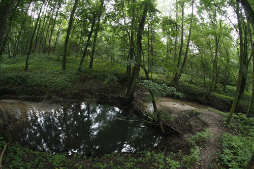 Zmęczeni, lecz zadowoleni - galeria
