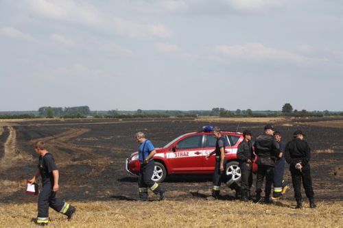 Spłonęło 20ha zboża i samochód - zdjęcia
