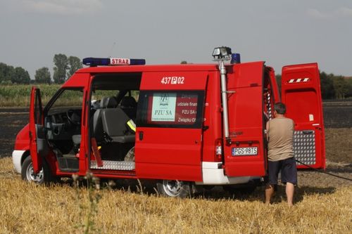 Spłonęło 20ha zboża i samochód - zdjęcia