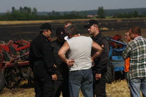Spłonęło 20ha zboża i samochód - zdjęcia