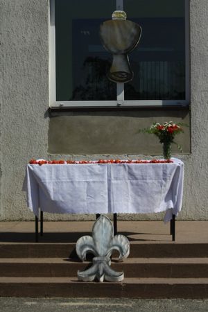 Harcerze świętowali 100 lecie - zdjęcia