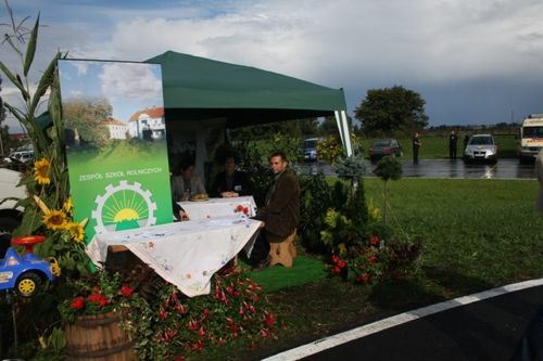 Deszczowo, smacznie, kolorowo - galeria