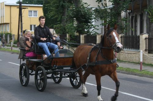 Dożynkowe ostatki - fotorelacja