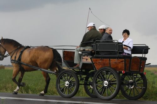 Dożynkowe ostatki - fotorelacja
