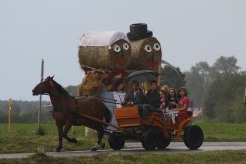 Dożynkowe ostatki - fotorelacja
