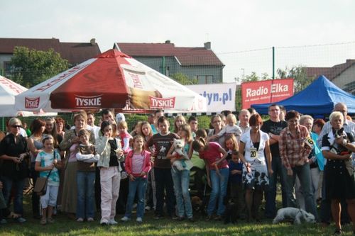 Bawili się doskonale - galeria