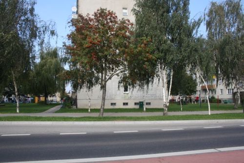 Wandale oszpecili bloki - zdjęcia