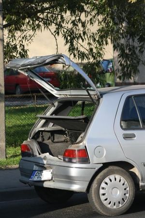 Szczęście w nieszczęściu - zdjęcia