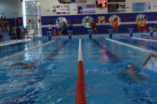 Mistrzowie zawsze na fali - galeria