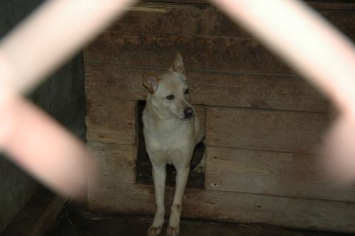 Wolontariusze w akcji (galeria)