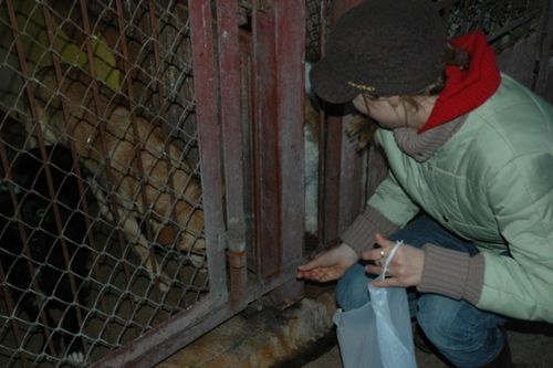 Wolontariusze w akcji (galeria)