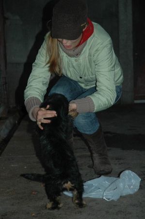 Wolontariusze w akcji (galeria)