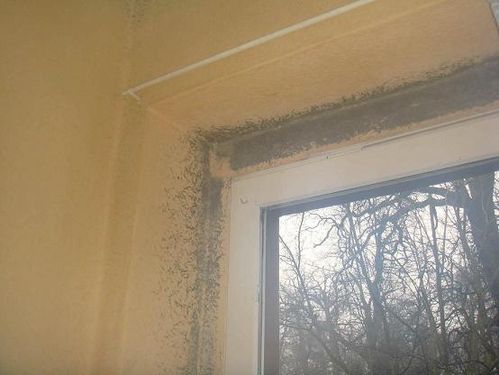 Chcą mieszkać normalnie