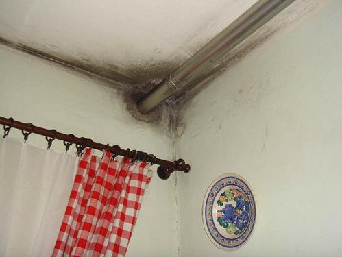 Chcą mieszkać normalnie
