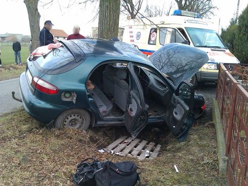 Lanosem w drzewo - zdjęcia