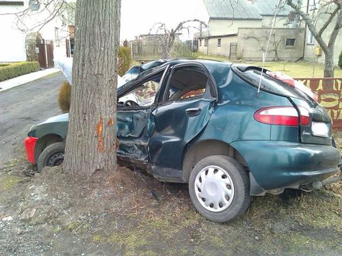 Lanosem w drzewo - zdjęcia