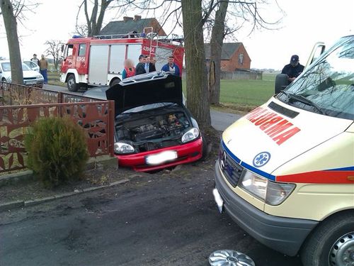 Lanosem w drzewo - zdjęcia