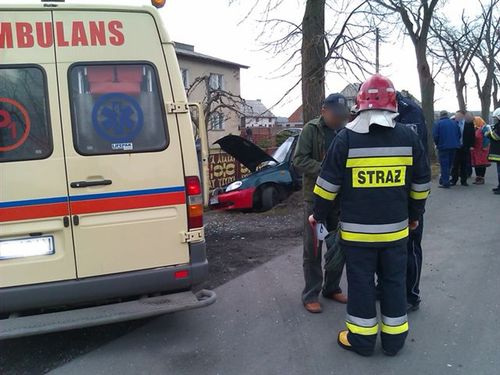 Lanosem w drzewo - zdjęcia