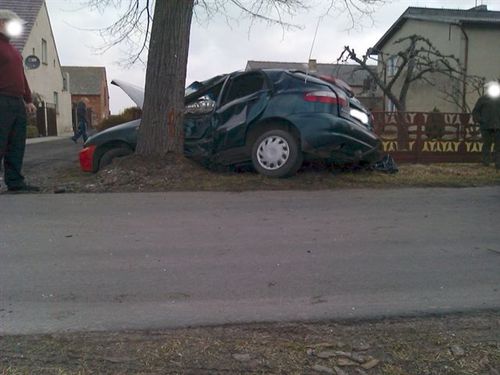 Lanosem w drzewo - zdjęcia