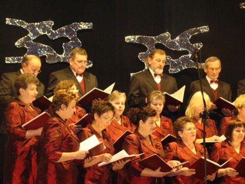 Wielka sława to żart (galeria)