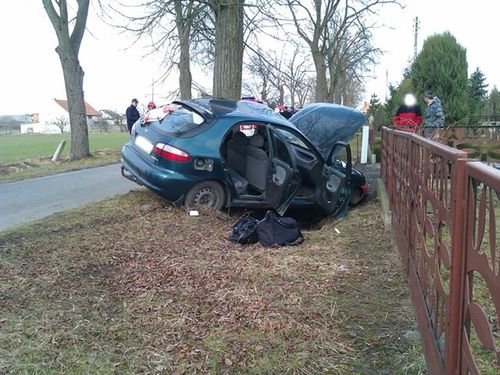 Lanosem w drzewo - zdjęcia