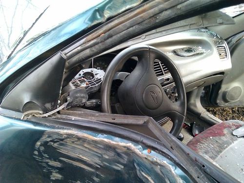 Lanosem w drzewo - zdjęcia